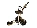 NFM Electric Remote Control Golf Cart (Gold Explorer 2009 Version)