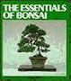 The Essentials of Bonsai