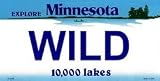 Minnesota State Background License Plates Wild Plate Tag Tags auto vehicle car front