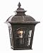 Trans Globe Lighting 5429-1 AR 16-Inch 2-Light Outdoor Small Wall Pocket Lantern, Antique Rust
