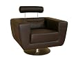Dion Premium Leather Swivel Accent Chair in Dark Brown