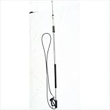 IMAGE OF 4000 PSI Aluminum 24' Deluxe Telescoping Lance Assembly