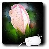 WhiteOak Photography Inspirational Floral Prints - Joy Inspirational Flower - Mouse Pads