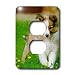   - Dogs Sheltie/Shetland Sheepdog - Sheltie Poppy - Light Switch Covers - 2 plug outlet cover