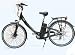 Sporting Goods : EasyBike EASY-MAX-PREMIUM Electric Bicycle