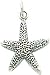 Sterling Silver Antiqued Starfish Charm