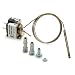 White Rodgers 3098-134 Mercury Flame Sensor w/ 48" Element White Rodgers 3098-134 Mercury Flame Sensor w/ 48" Element