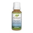 Brightspark For Children Add And Adhd Native Remedies