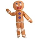 Shrek-Gingerbread Man Child Costume