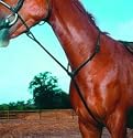 Shires Standing Martingale-Brown - Full