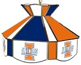 16 inch Stained Glass Swag Light - Illinois - NCAA Team