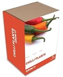 Grow It (Chilli Plants)