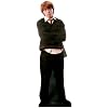 Ron Weasley (Harry Potter) Life-Size Standup Poster