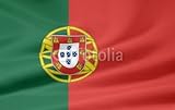 IMAGE OF Wallmonkeys Peel and Stick Wall Decals - Portugiesische Flagge - 72