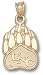Northern Colorado Bears Solid 10K Gold Paw Pendant