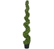 ONE Pre-Potted 6' Leucadendron Artificial Topiary Trees