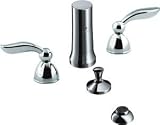Hansgrohe 04056 Solaris Widespread Vertical Spray Bidet Faucet with Feather Handles