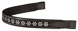 Browband w/Small Floral Jewels