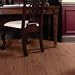American Walnut