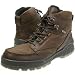 ECCO Men's Track II High Gore-Tex&Acirc;&reg; Boot,Bison,42 EU (US Men's 8-8.5 M)