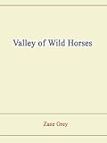 Valley of Wild Horses