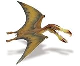 Safari 299729 Pterosaur Dinosaur Miniature- Pack of 6