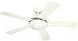 Westinghouse  7801720 Comet Two-Light 52-Inch Reversible Five-Blade Indoor Ceiling Fan, White with Frosted Glass