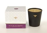 Paddywax - Journey of the Bee Wild Blackberry