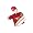 Kansas City Chiefs