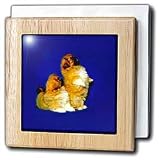 Dogs Pekingese - Pekingese - Tile Napkin Holders