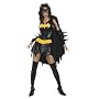 Batgirl Costume Adult