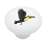 Tropical Toucan Decorative High Gloss Ceramic Drawer Knob