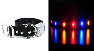 How's Your Dog LED Flashing Nighttime Safety Dog Collar - Midnight Black/Medium (13