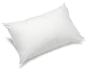 Irisette Badenia 03875430107 Irisette  Badenia 60 x 40 cm Kissen Trendline Comfort