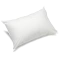 Badenia Bettcomfort 03875430107 Kissen Trendline Comfort 60 x 40 cm