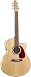 Seagull Performer Cutaway Mini Jumbo Flame Maple Ac-Electric Guitar with Gig Bag