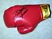 MANNY PACQUIAO autographed SIGNED Boxing GLOVE *proof