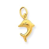 14k Dolphin Charm