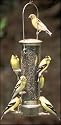 Brass Thistle Tube .75 Quart Capacity