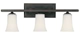 Sensation Collection 24 Wide Bathroom Light Fixture