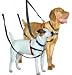 Halti Training Dog Harness (Size: Medium)