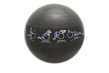 TRAINERball for Core Strength, Grey, 65cm - Illustrated Stability Ball (w/ Perfect-Form DVD)