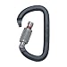 Petzl AM'D Screw-Lock Carabiner