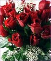 18 Red Long Stemmed Roses