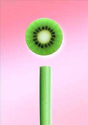 Sweet Kiwi Preisvergleich