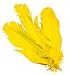 Turkey Feathers (Pk 5) Red