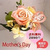 【5/10着日指定】【本州にお届け送料無料】母に贈るプリザーブドフラワー2009★エレガントローズ　セレナーデ　パステル　ケース入り（プリザーブドフラワー）【母の日ギフト】
