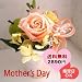 �y5/9�����w��z�y�{�B�ɂ��͂����������z��ɑ���v���U�[�u�h�t�����[2009���G�K���g���[�Y�@�Z���i�[�f�@�p�X�e���@�P�[�X����i�v���U�[�u�h�t�����[�j�y��̓��M�t�g�z