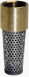 Water Source TFV-100 1-Inch Brass Foot Valve
