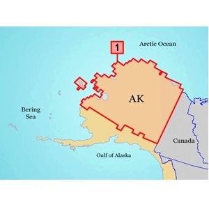 Garmin 010-C0475-00 Topo Alaska North Mi by